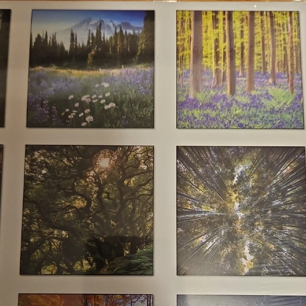 2026 Heaven Has a Forest 18-Month Wall Calendar
